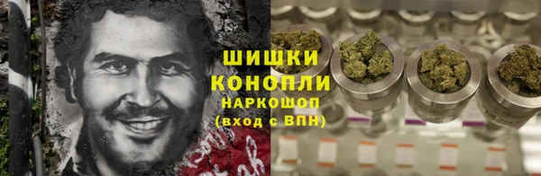 крисы Баксан