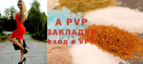 крисы Баксан