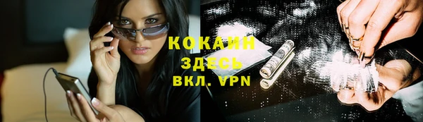 крисы Баксан