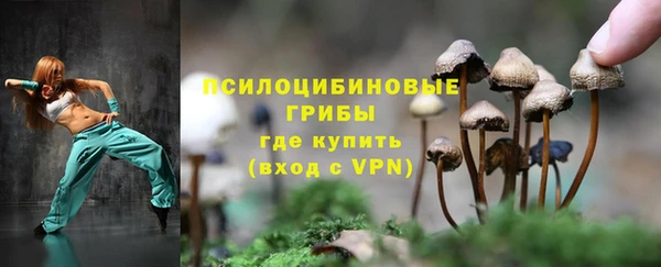 а пвп мука Балахна