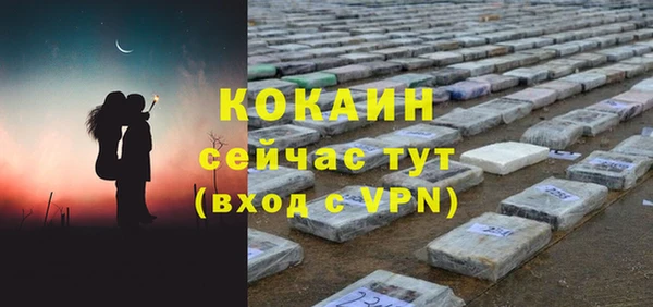 крисы Баксан