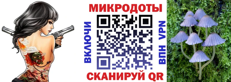 закладка  Курчалой  Галлюциногенные грибы ЛСД 